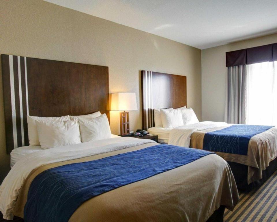 Comfort Inn & Suites Navasota Buitenkant foto