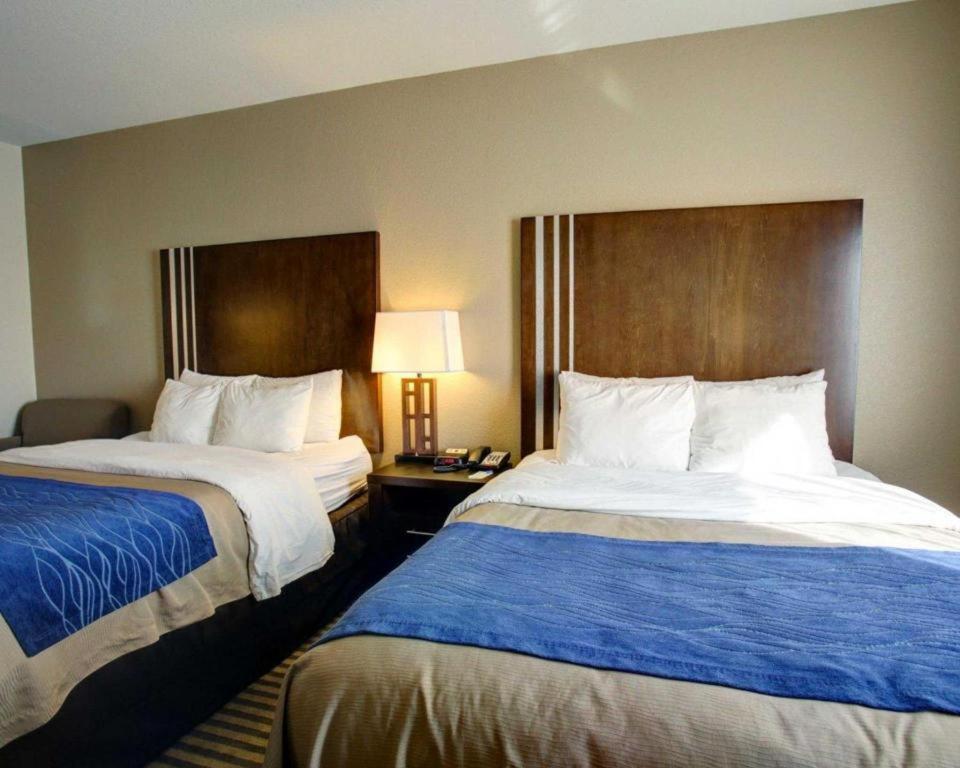 Comfort Inn & Suites Navasota Buitenkant foto