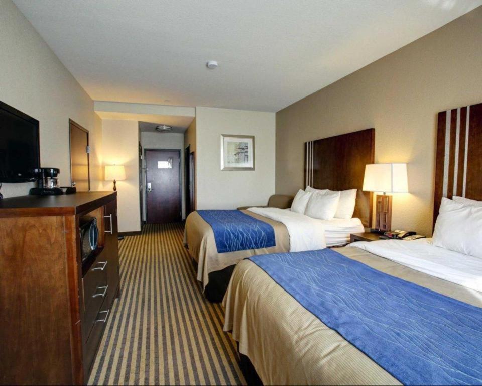 Comfort Inn & Suites Navasota Buitenkant foto