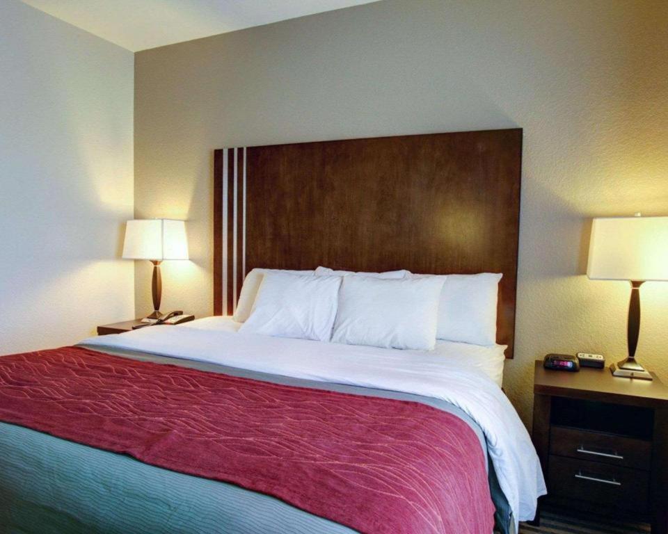 Comfort Inn & Suites Navasota Buitenkant foto