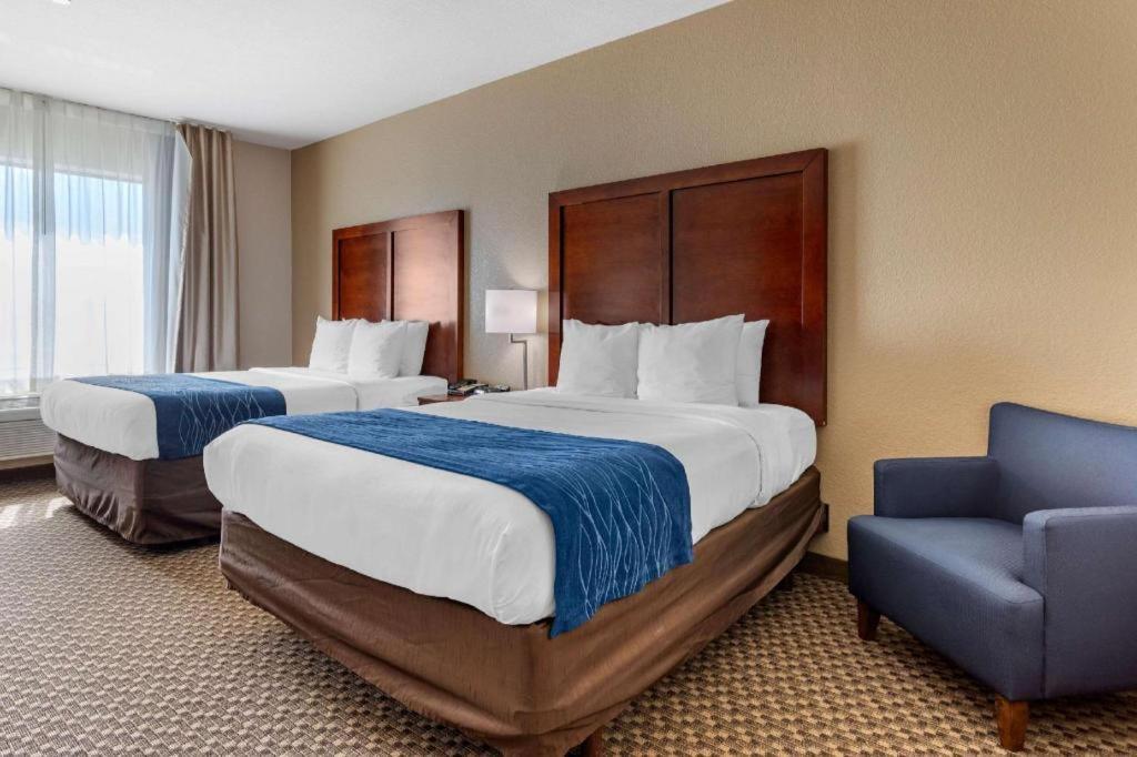 Comfort Inn & Suites Navasota Buitenkant foto