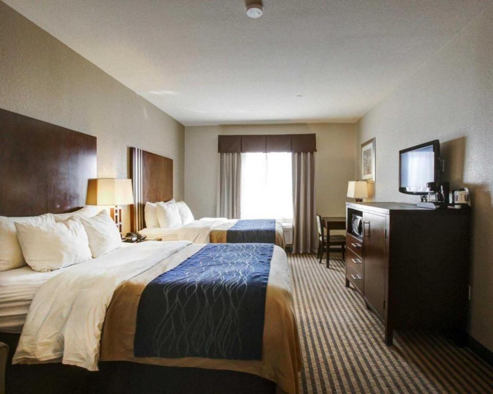 Comfort Inn & Suites Navasota Buitenkant foto