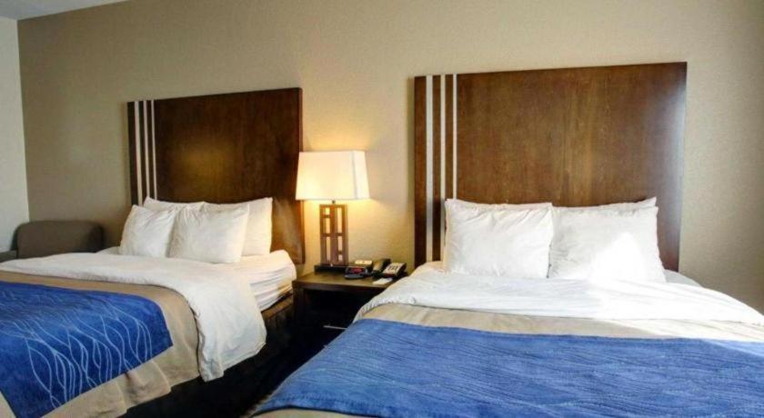 Comfort Inn & Suites Navasota Buitenkant foto