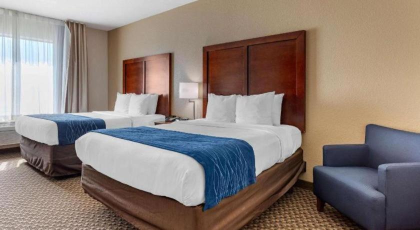 Comfort Inn & Suites Navasota Buitenkant foto