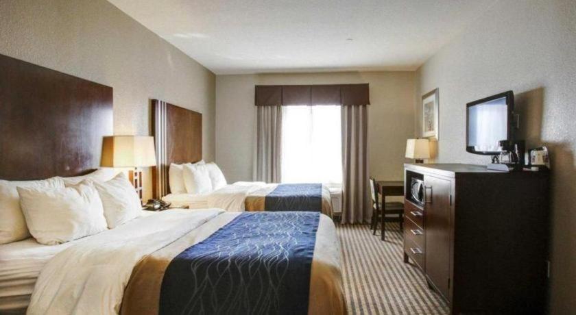 Comfort Inn & Suites Navasota Buitenkant foto