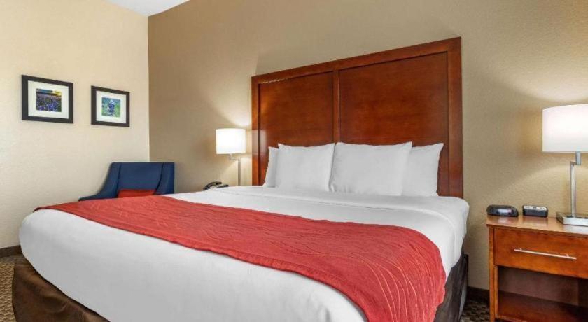 Comfort Inn & Suites Navasota Buitenkant foto