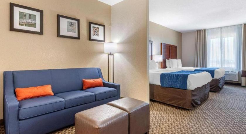 Comfort Inn & Suites Navasota Buitenkant foto