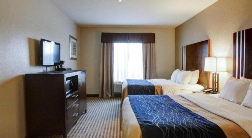 Comfort Inn & Suites Navasota Buitenkant foto