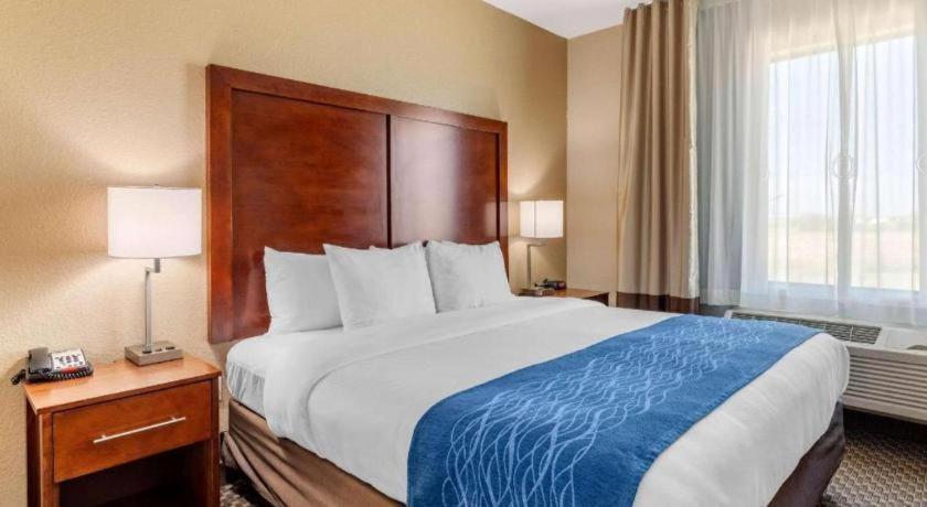 Comfort Inn & Suites Navasota Buitenkant foto