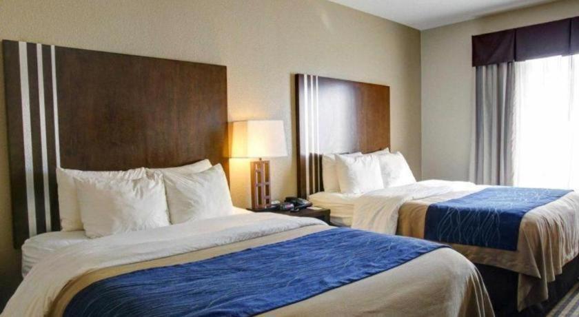 Comfort Inn & Suites Navasota Buitenkant foto